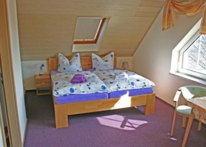 Scherzer Guest house 3*